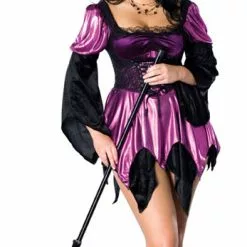 Plus Size Witch Costume