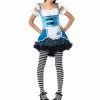 Alice Costume