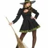 Totally Wicked Witch Adult Costume